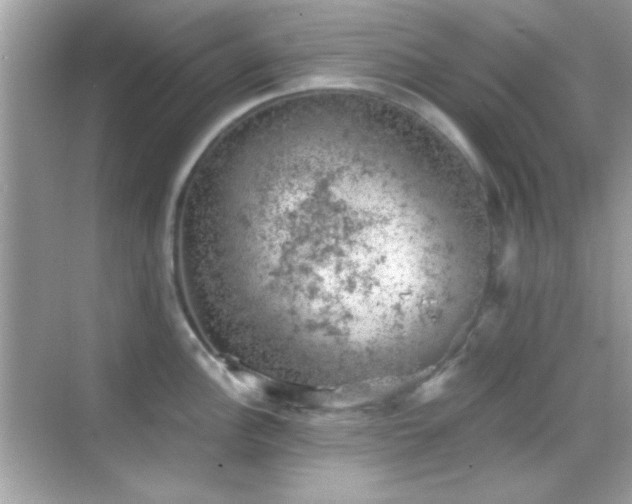 X0000068851148200605051206