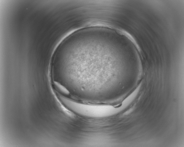 X0000068851149200605051206