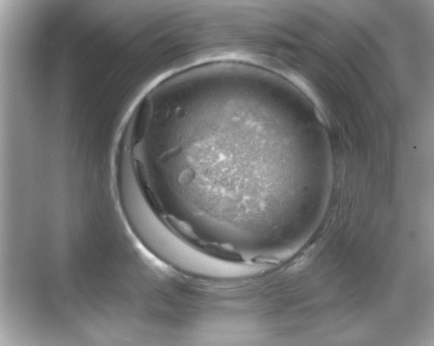 X0000068851151200605051206