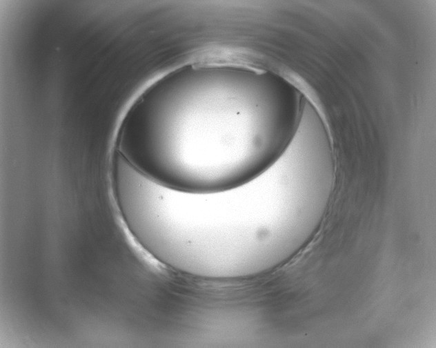 X0000068851152200605051206