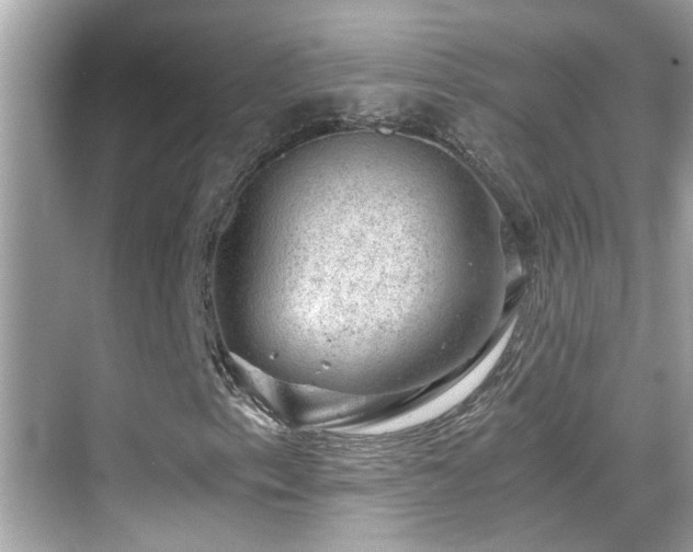 X0000068851153200605051205