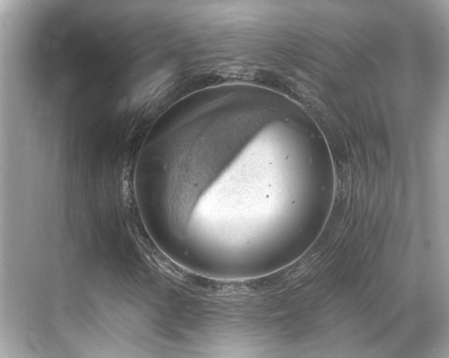 X0000068851154200605051205