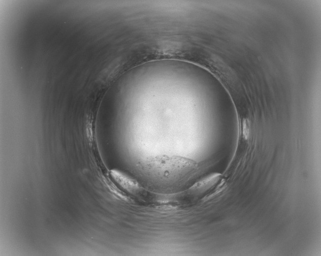 X0000068851155200605051205