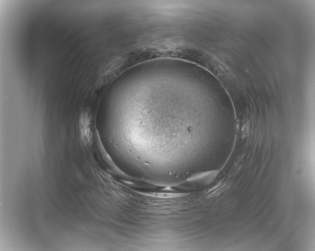 X0000068851156200605051205