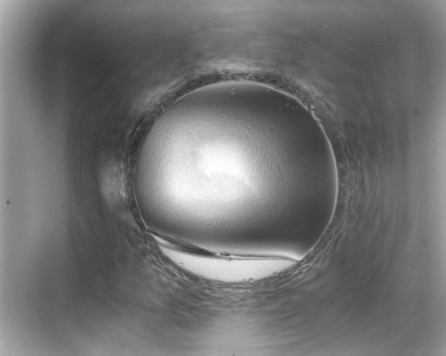 X0000068851157200605051205