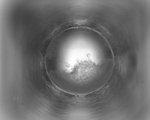 X0000068851158200605051205