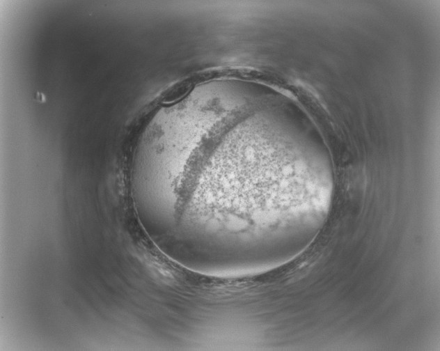 X0000068851159200605051205