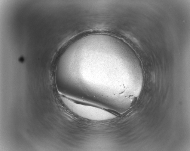 X0000068851160200605051205