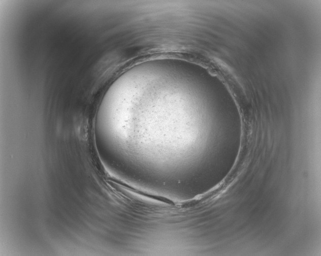 X0000068851161200605051205