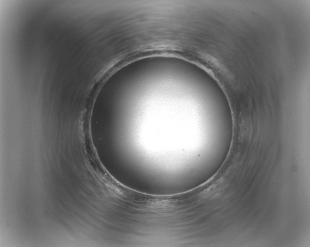 X0000068851162200605051205