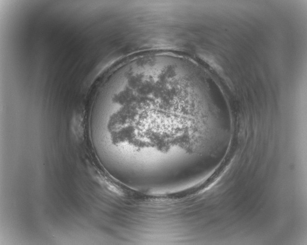 X0000068851163200605051205