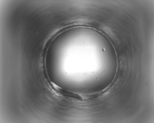 X0000068851164200605051205