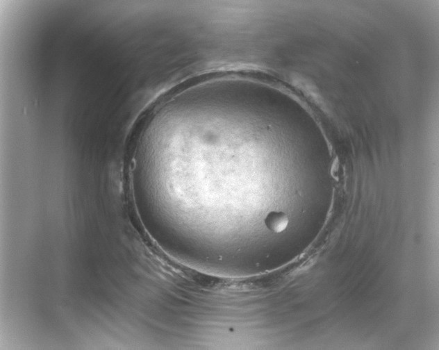 X0000068851165200605051205