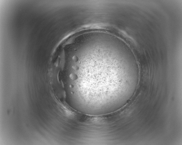 X0000068851166200605051205