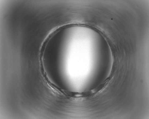 X0000068851168200605051205