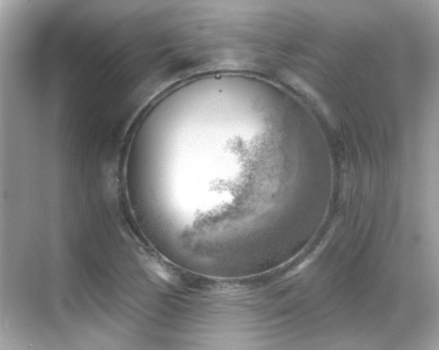 X0000068851170200605051205