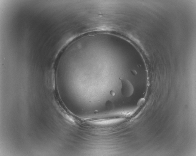 X0000068851171200605051205