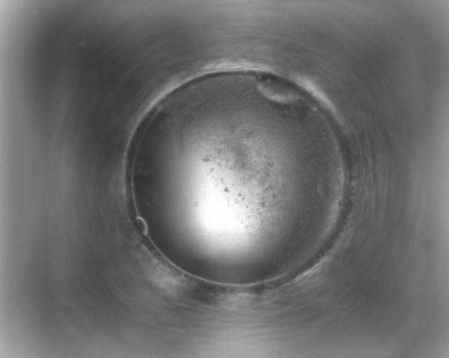 X0000068851173200605051205