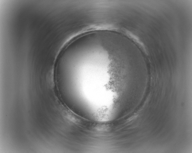 X0000068851174200605051205