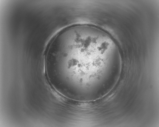 X0000068851175200605051205