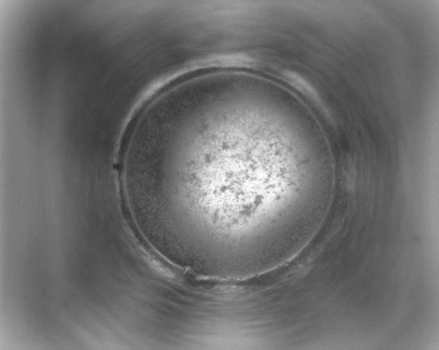 X0000068851176200605051205