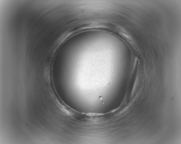 X0000068851177200605051205