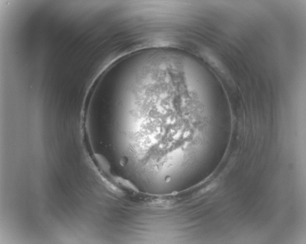 X0000068851178200605051205