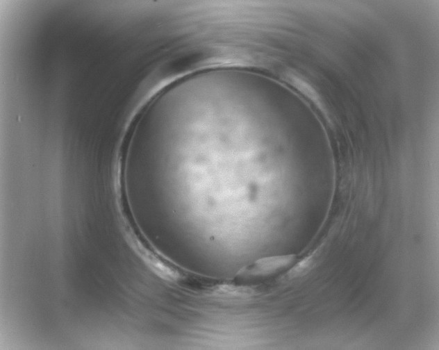 X0000068851179200605051205