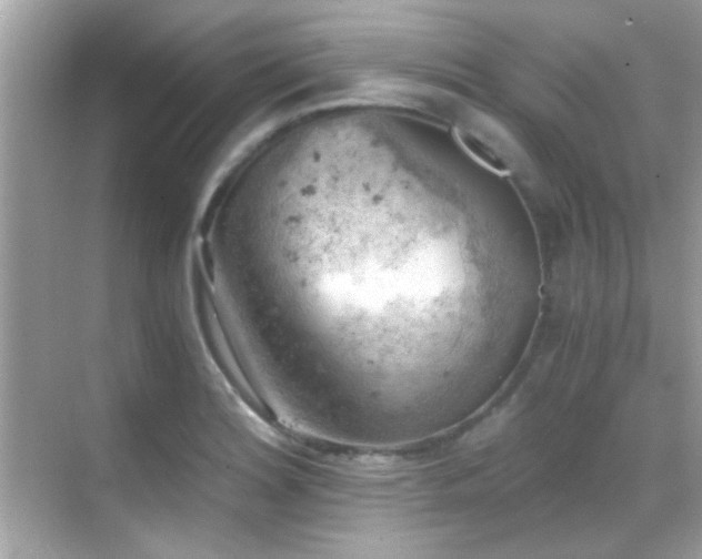 X0000068851180200605051205