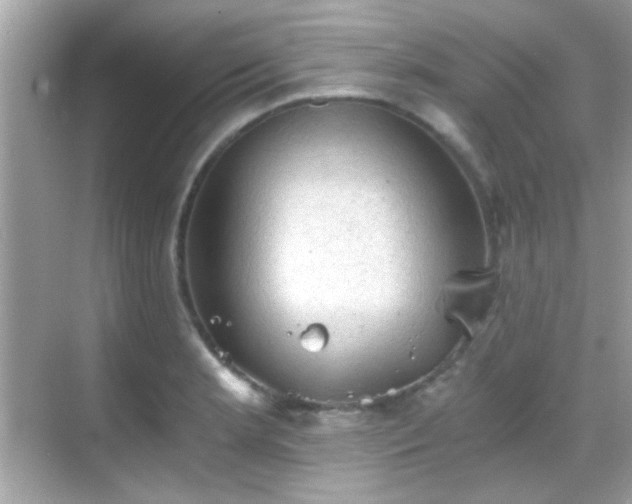 X0000068851181200605051205