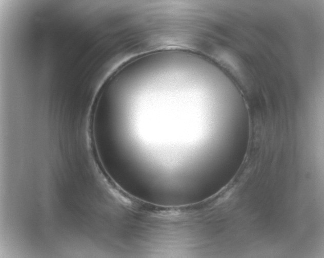 X0000068851182200605051205