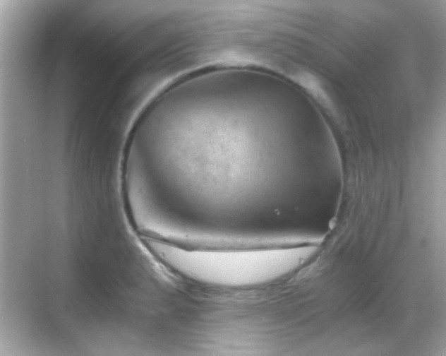 X0000068851183200605051205