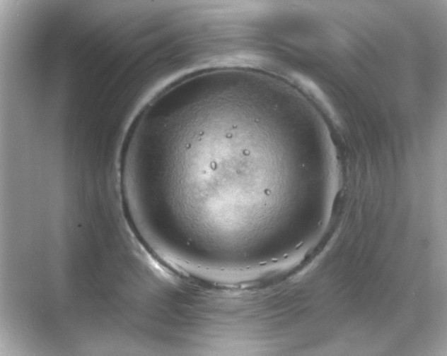 X0000068851184200605051205