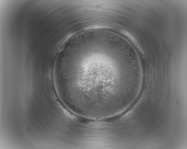 X0000068851185200605051205