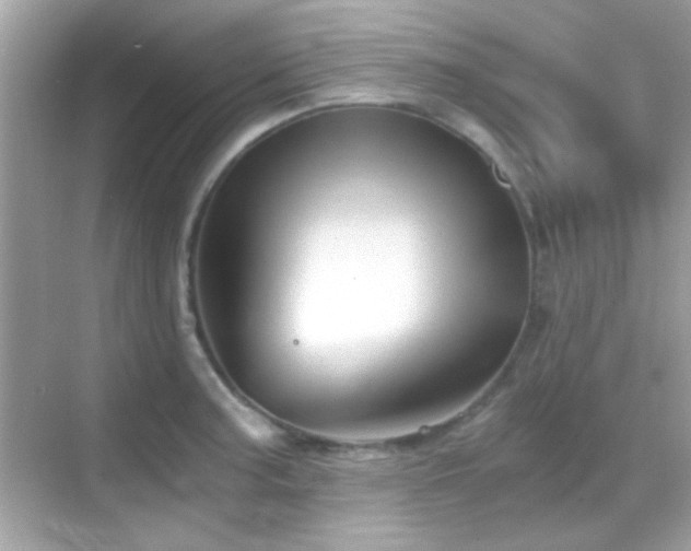 X0000068851187200605051205