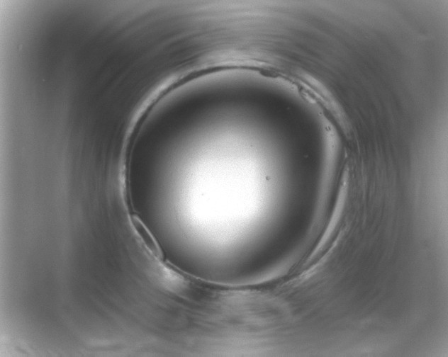 X0000068851188200605051205