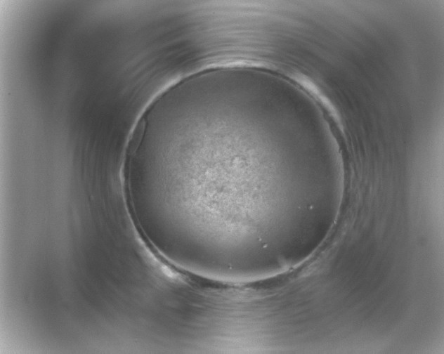 X0000068851189200605051205