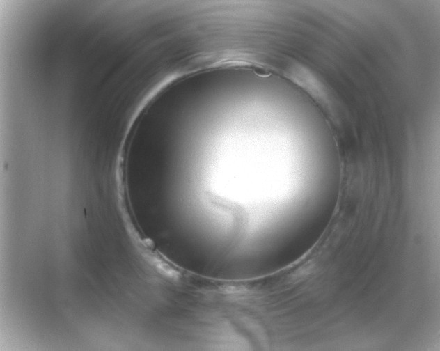 X0000068851190200605051204