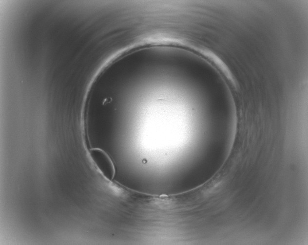 X0000068851191200605051204