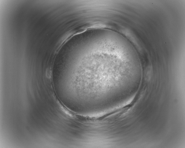 X0000068851193200605051204