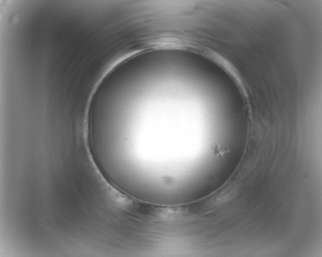 X0000068851195200605051204