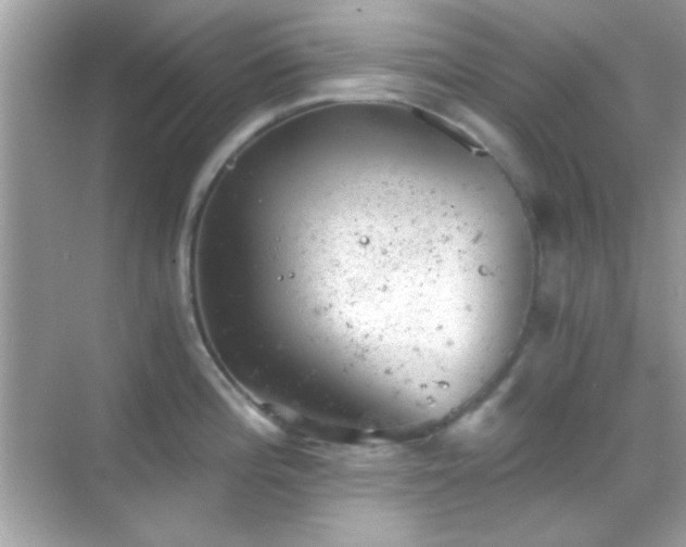 X0000068851196200605051204