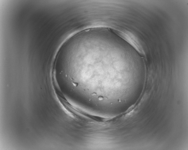 X0000068851197200605051204