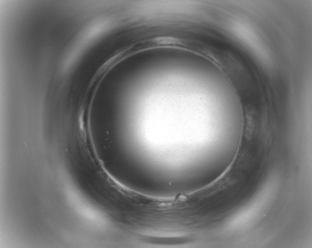 X0000068851198200605051204