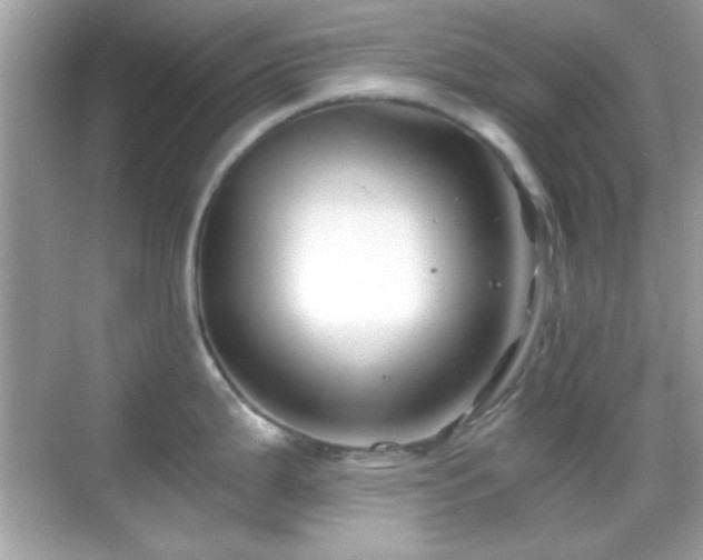 X0000068851199200605051204