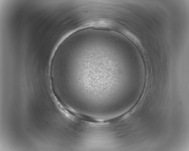 X0000068851200200605051204