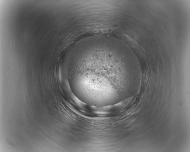 X0000068851202200605051204