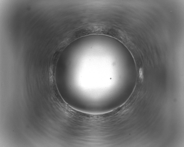 X0000068851203200605051204