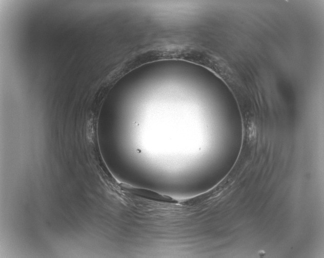 X0000068851204200605051204