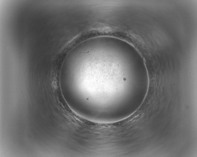 X0000068851205200605051204